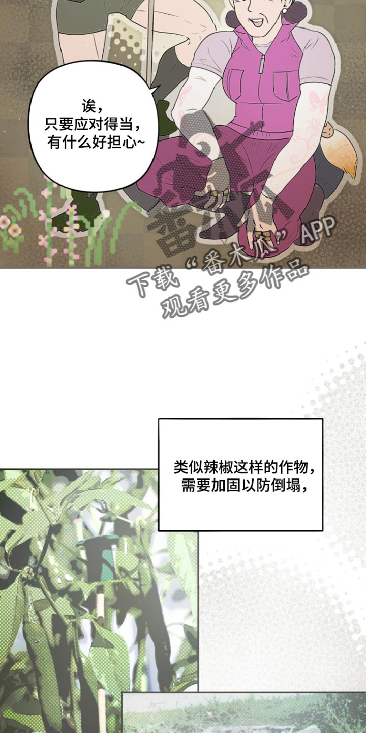 第22话 第3页