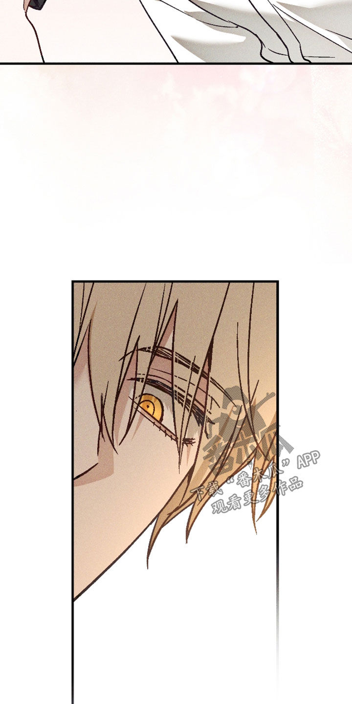 第91话 第11页