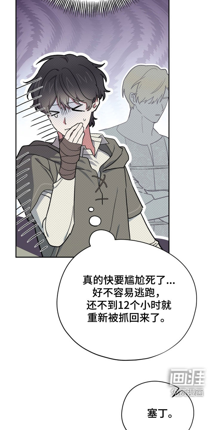第117话 第7页