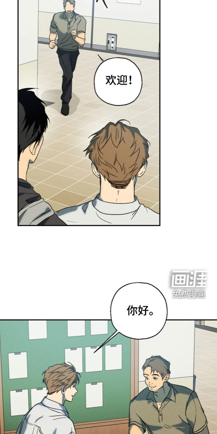 第29话 第11页