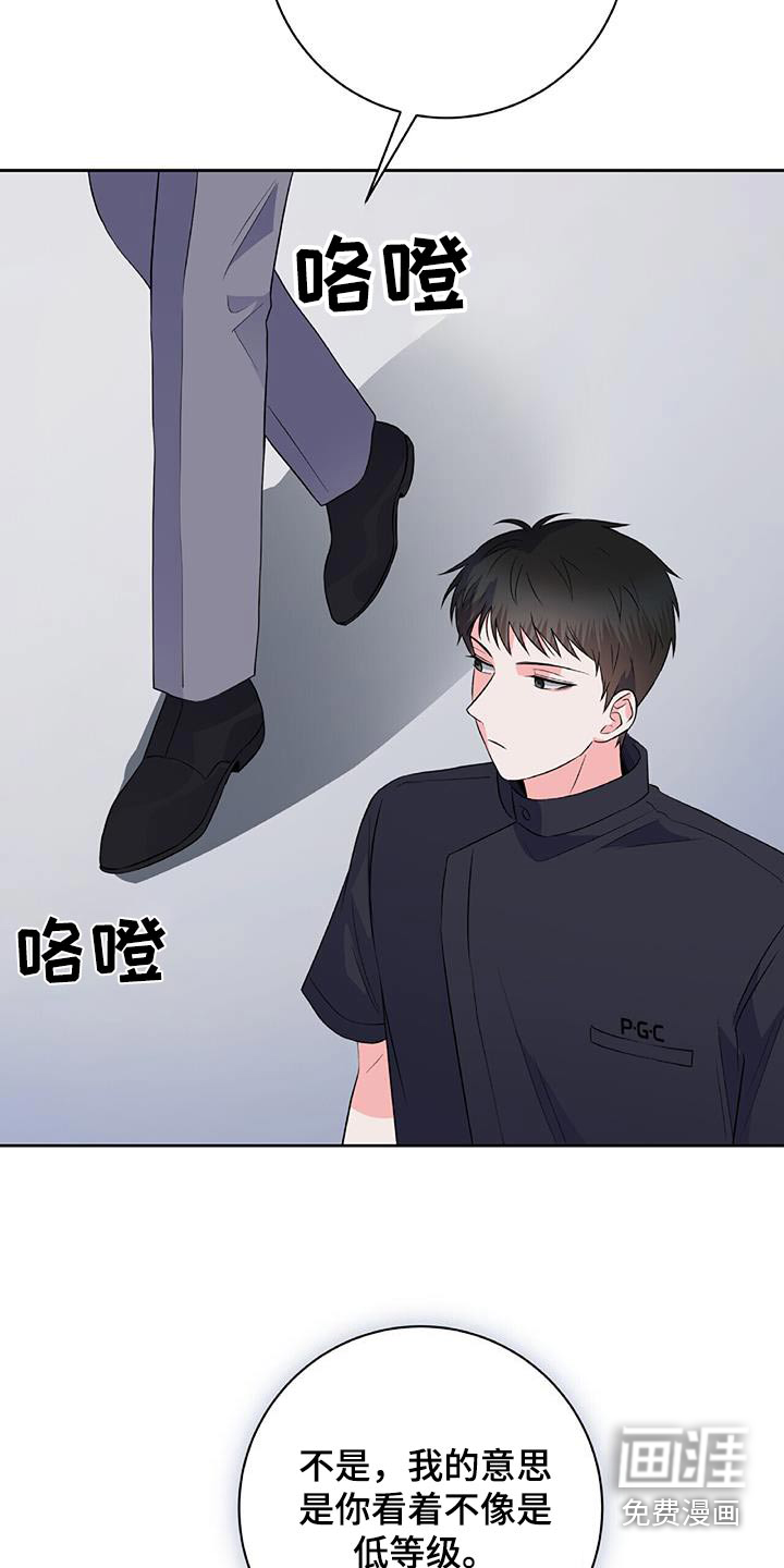 第42话 第14页