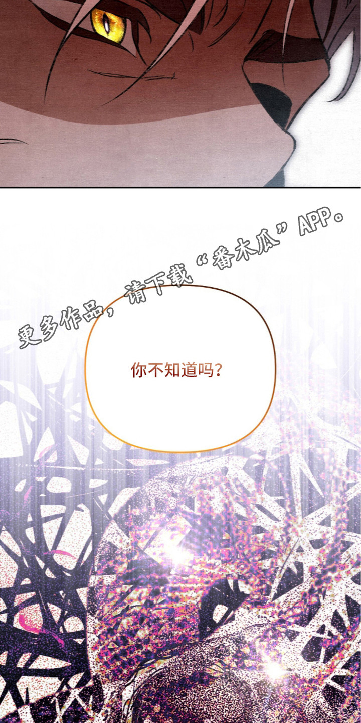 第26话5