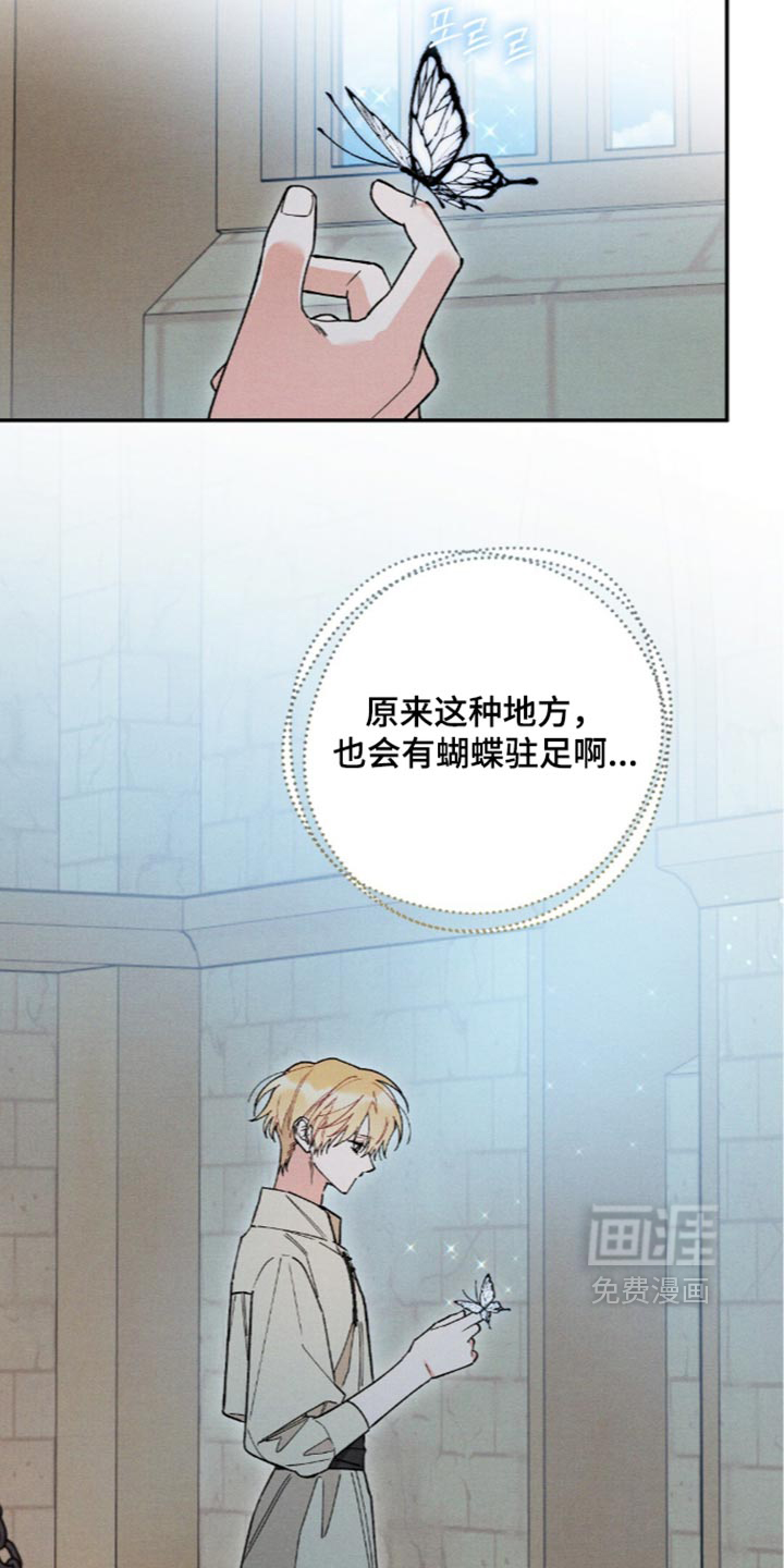 第234话1