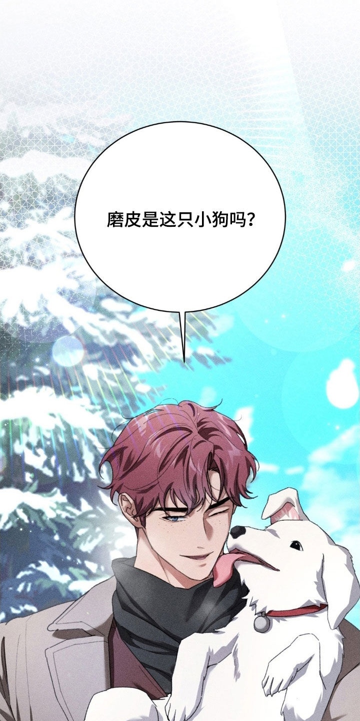 第50话 第17页