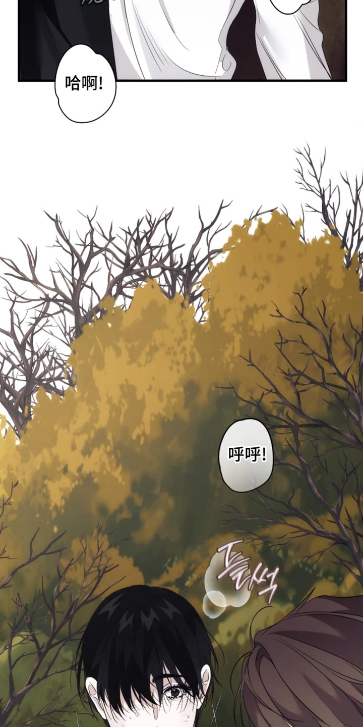 第104话33