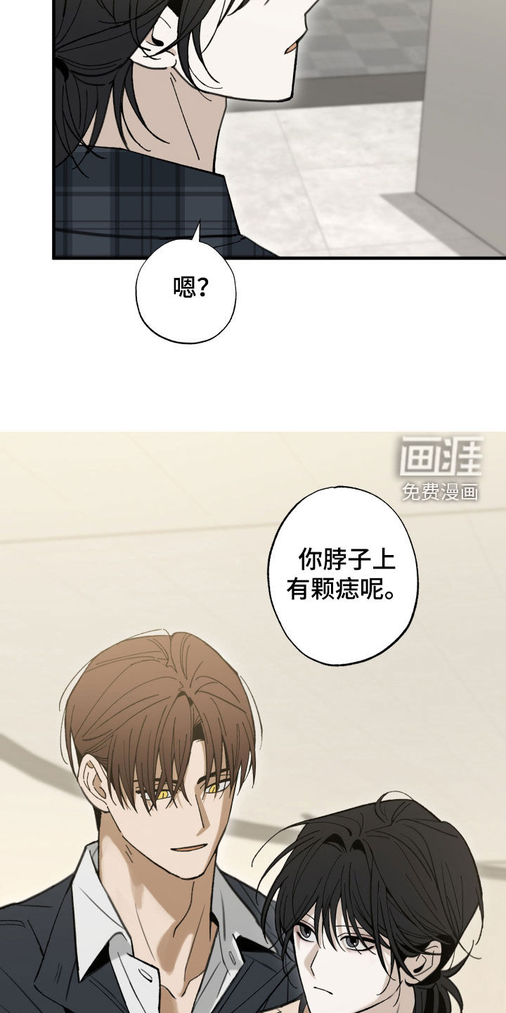 第49话4