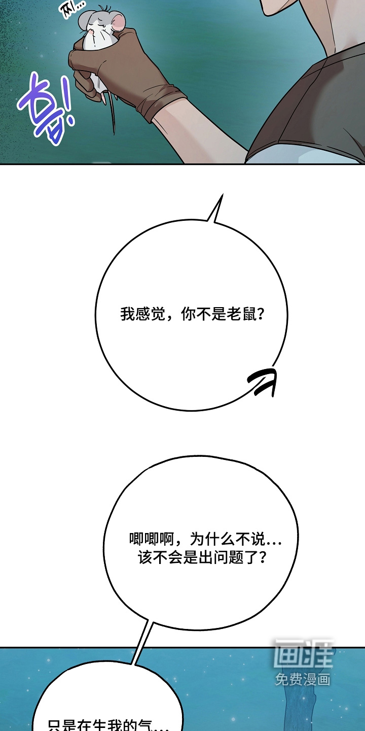 第40话3