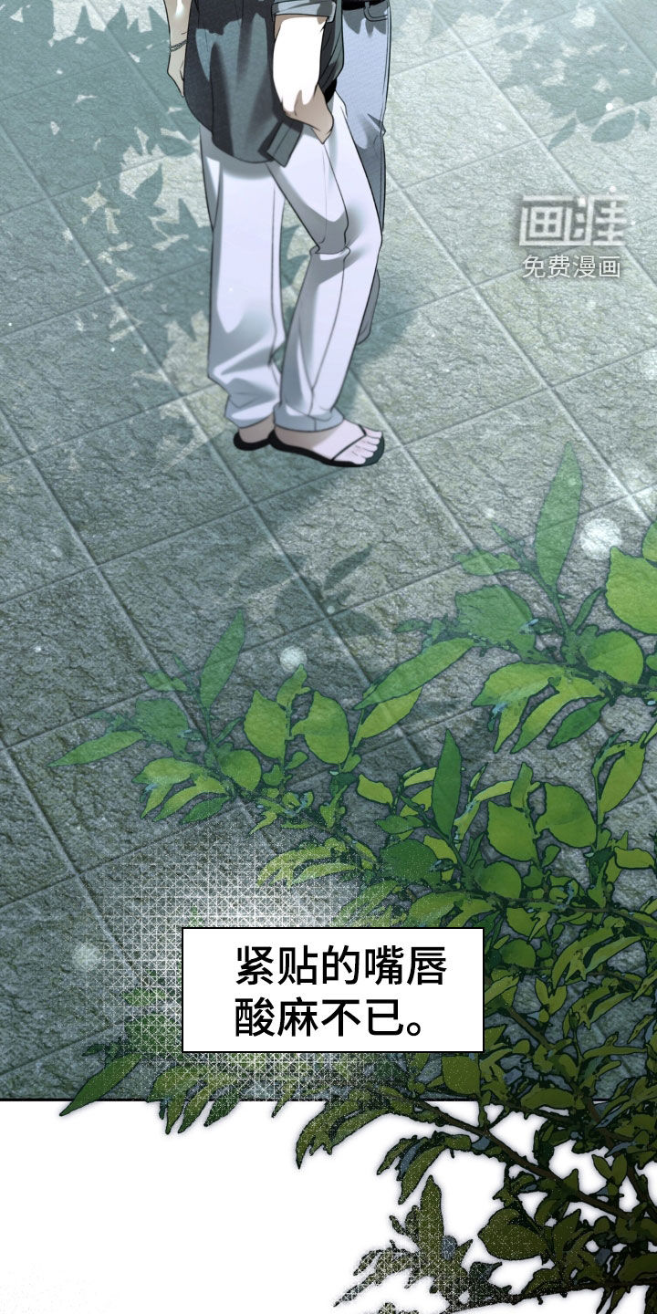 第117话 第15页