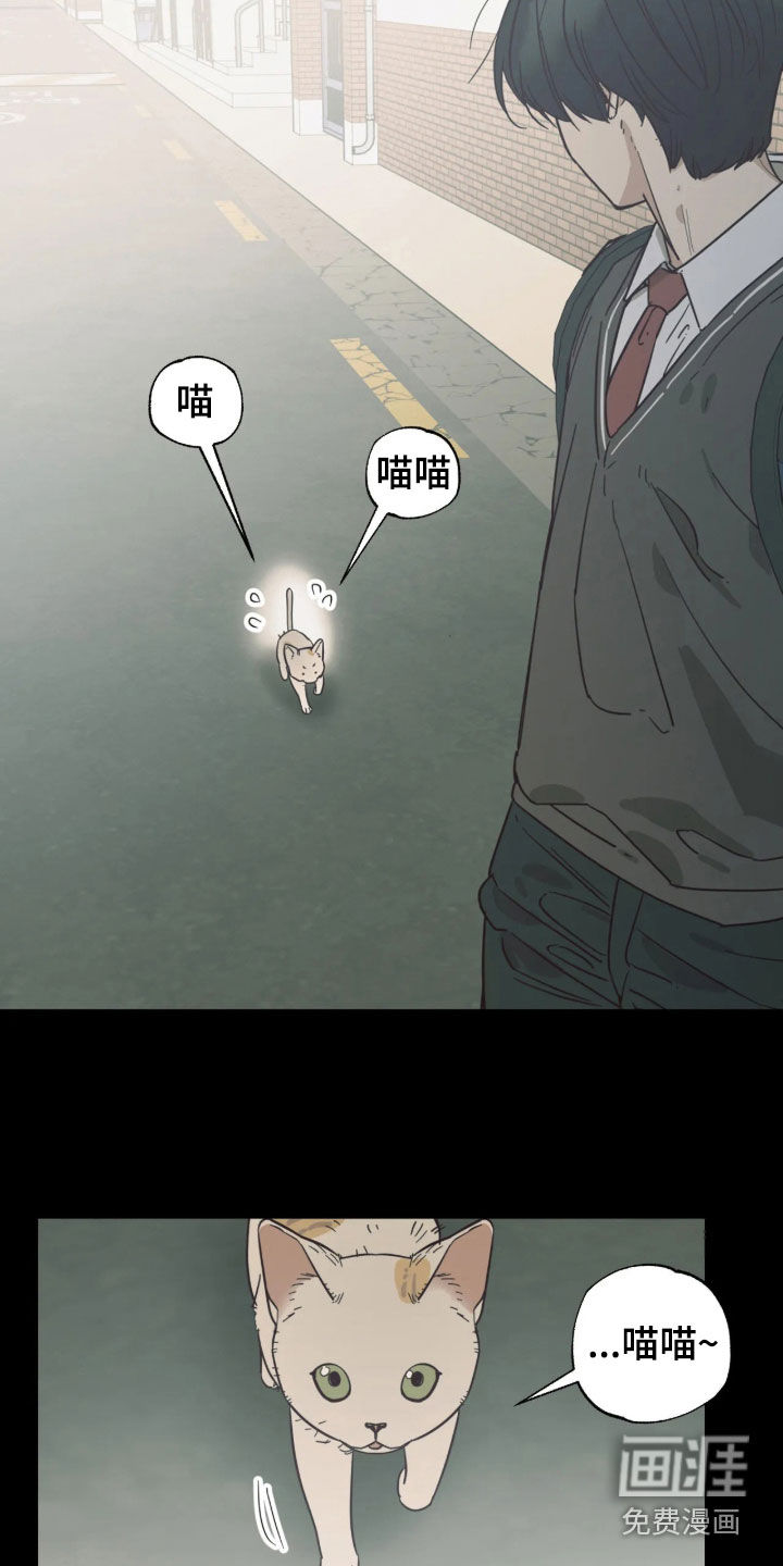第54话 第5页