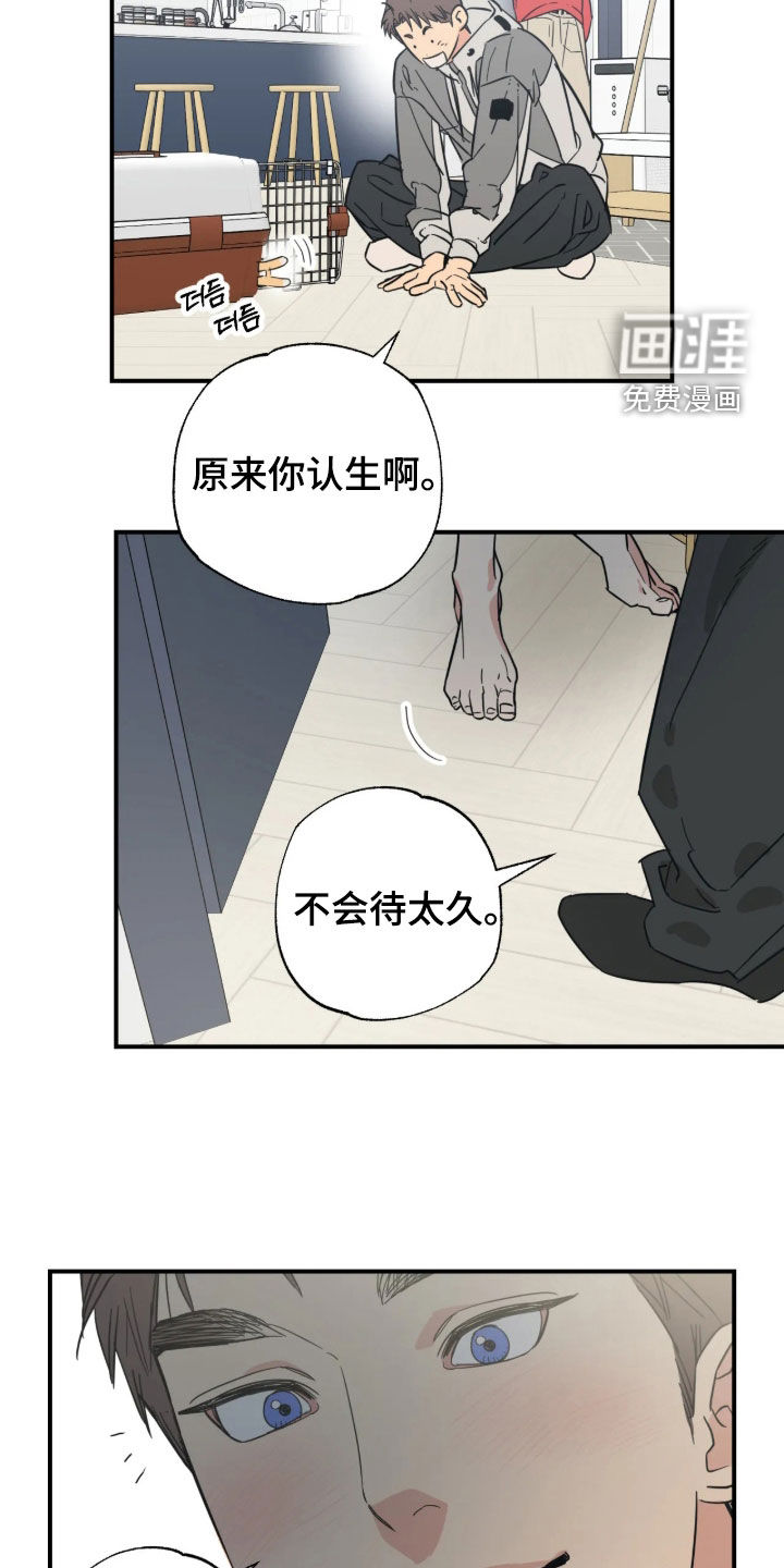 第54话 第20页