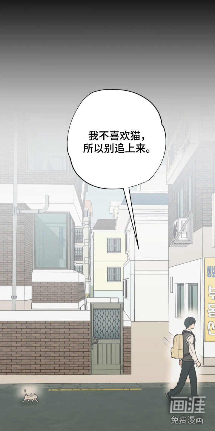 第54话 第7页