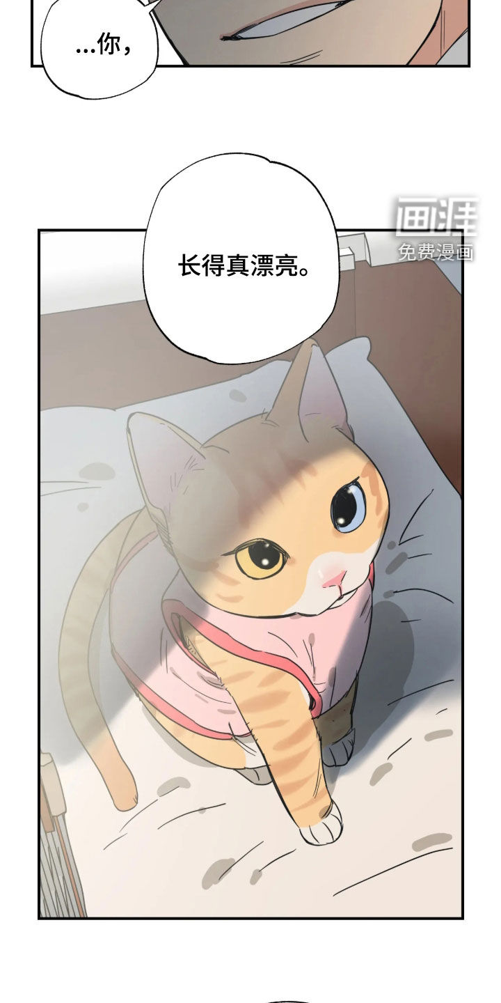 第54话 第21页