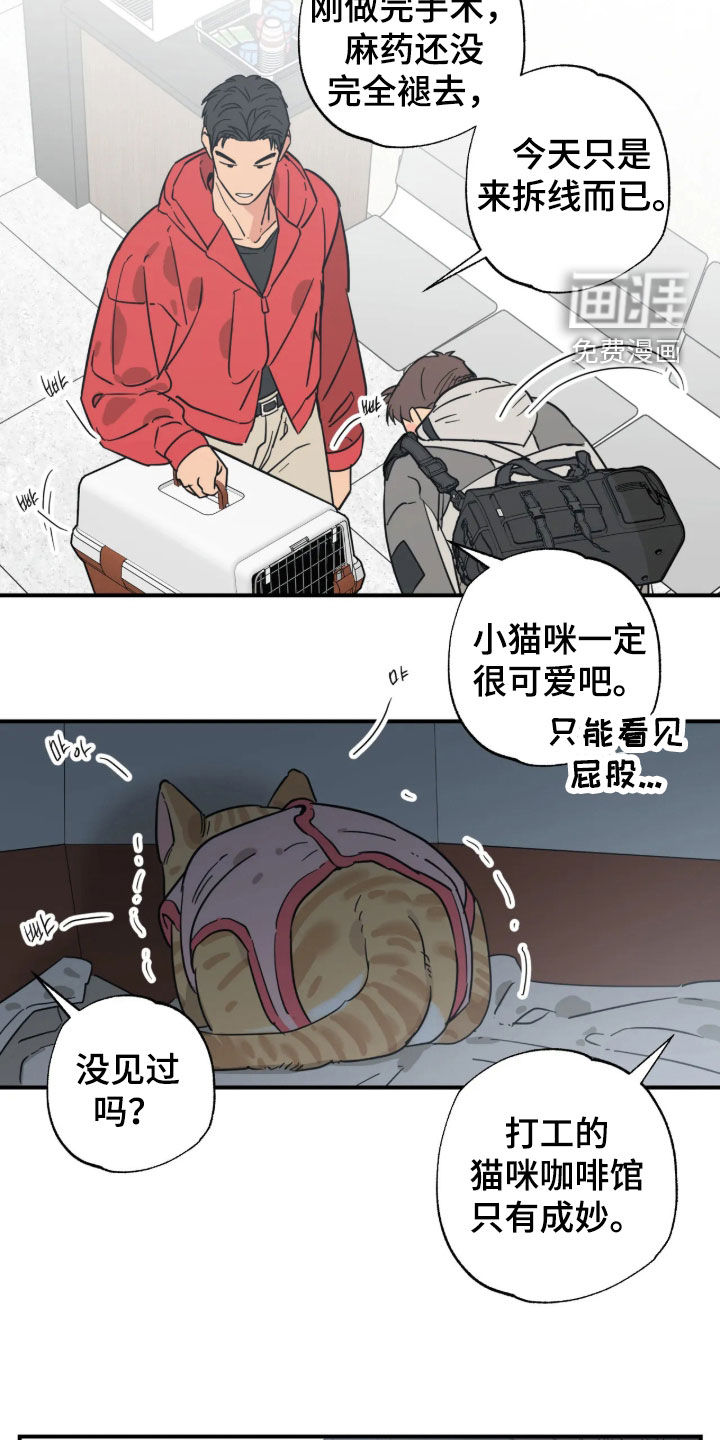 第54话 第13页