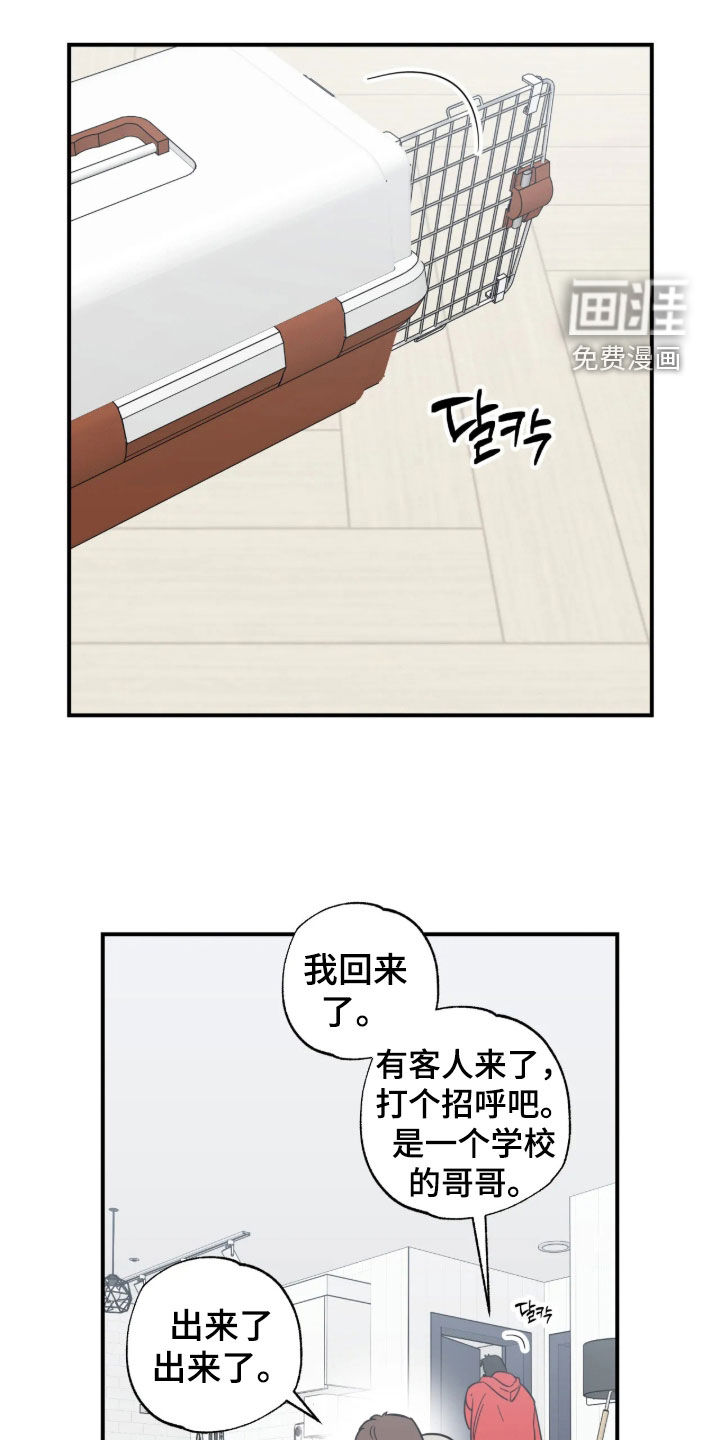 第54话 第19页