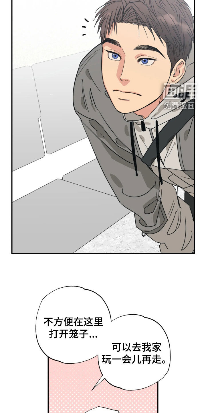 第54话 第15页