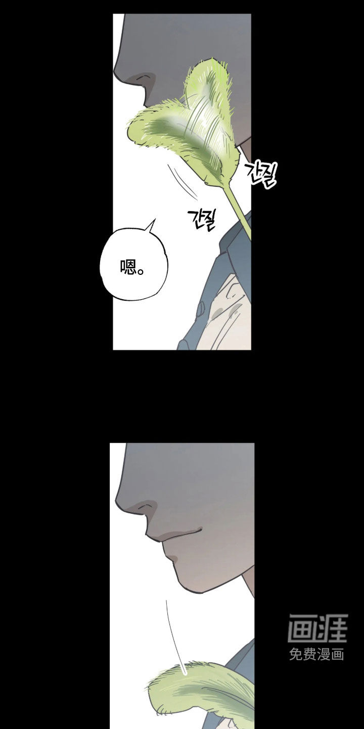 第53话 第19页