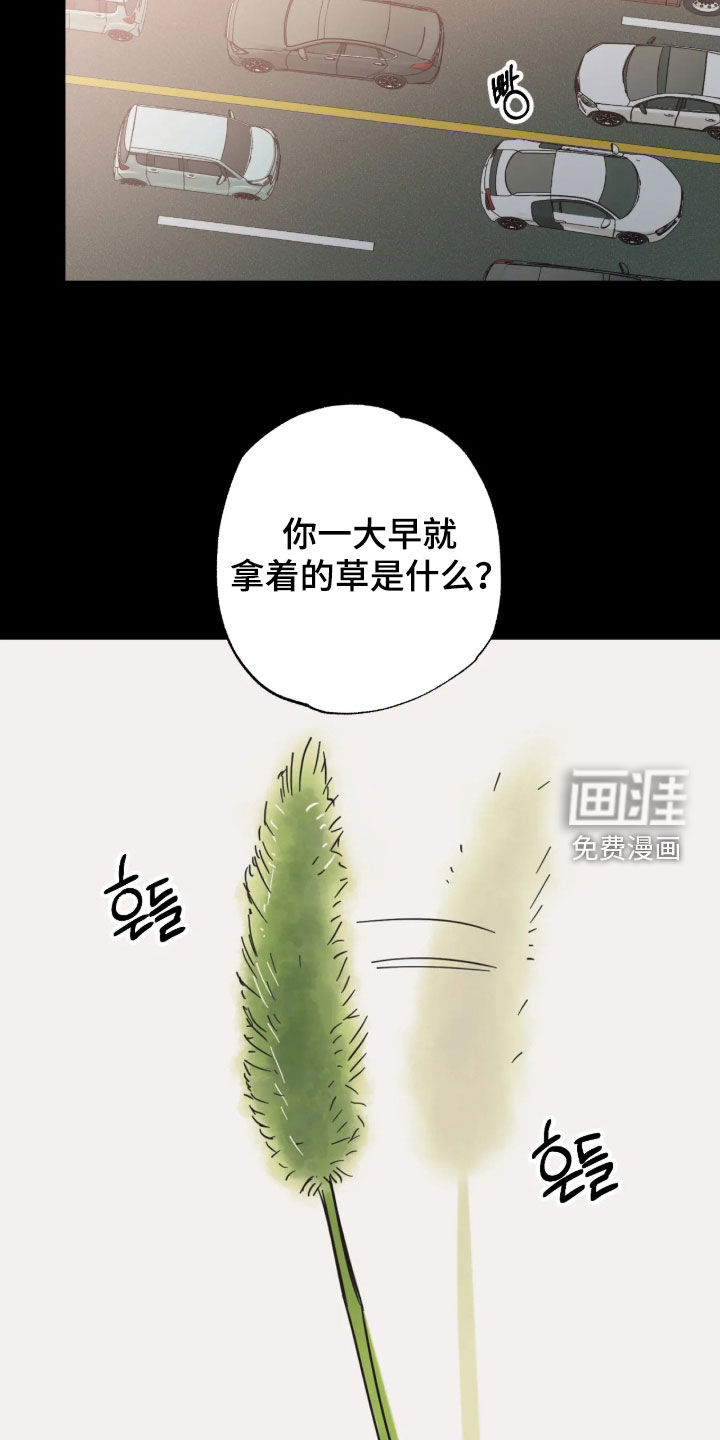 第53话 第14页