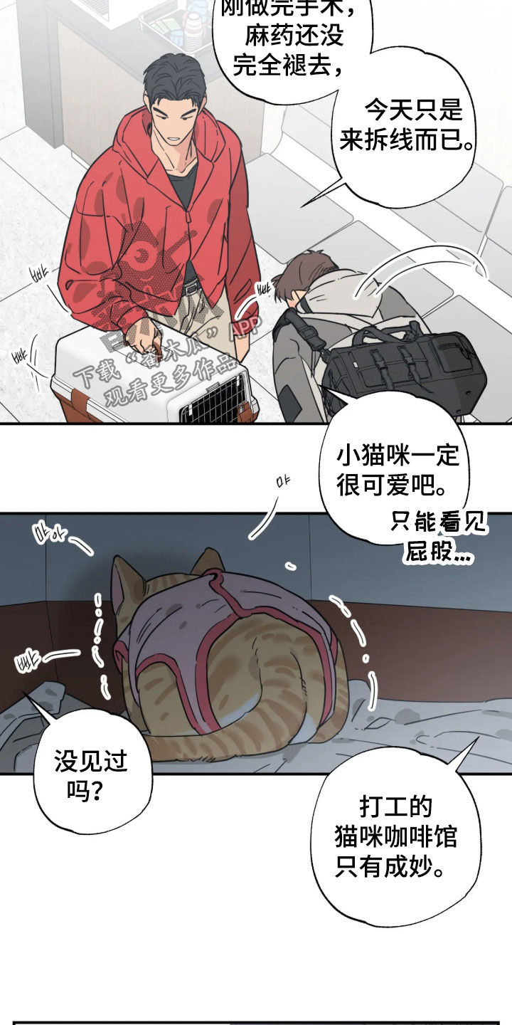 第58话 第13页