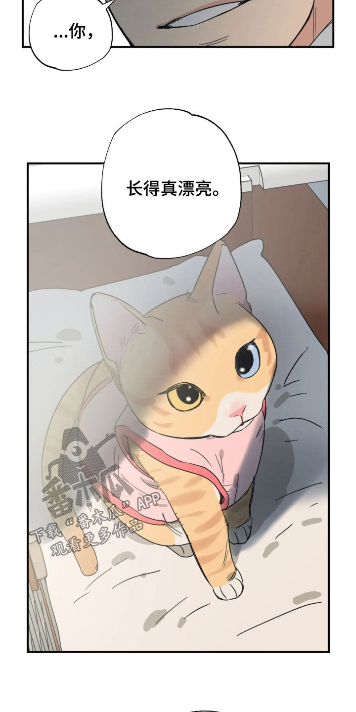 第58话 第21页