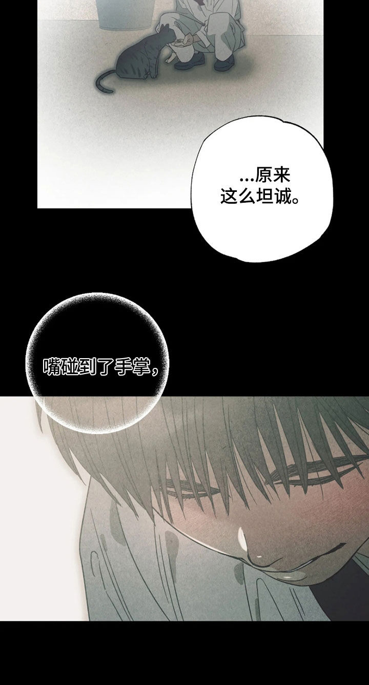 第56话 第22页