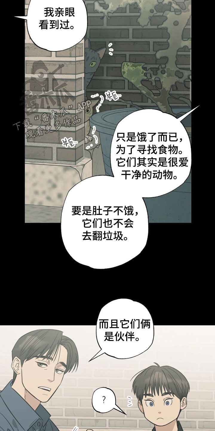 第55话 第10页