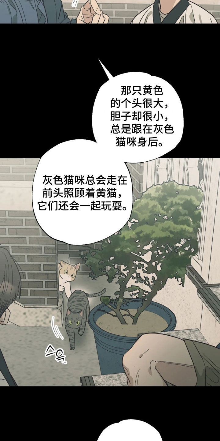 第55话 第11页