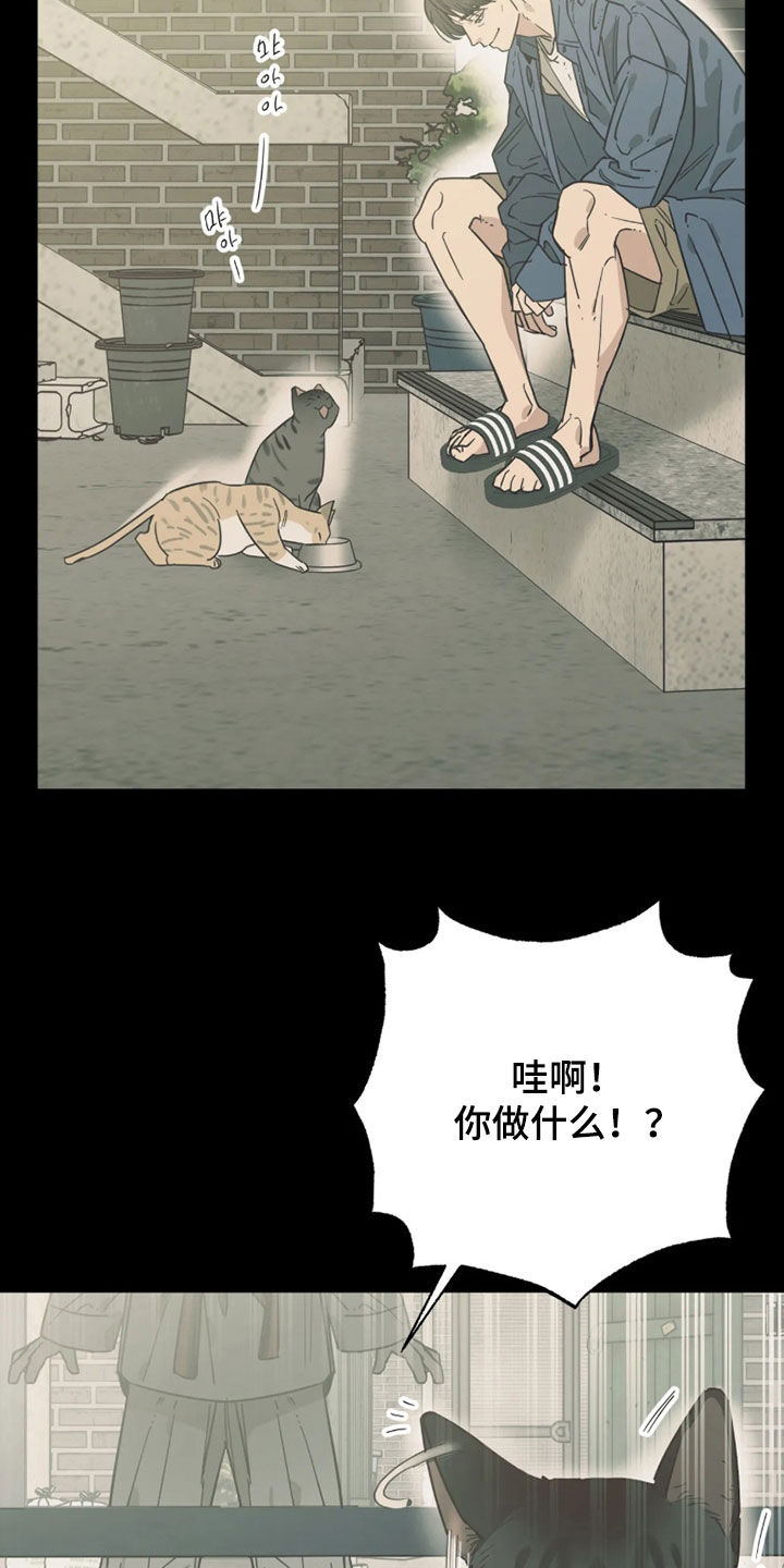 第55话 第6页