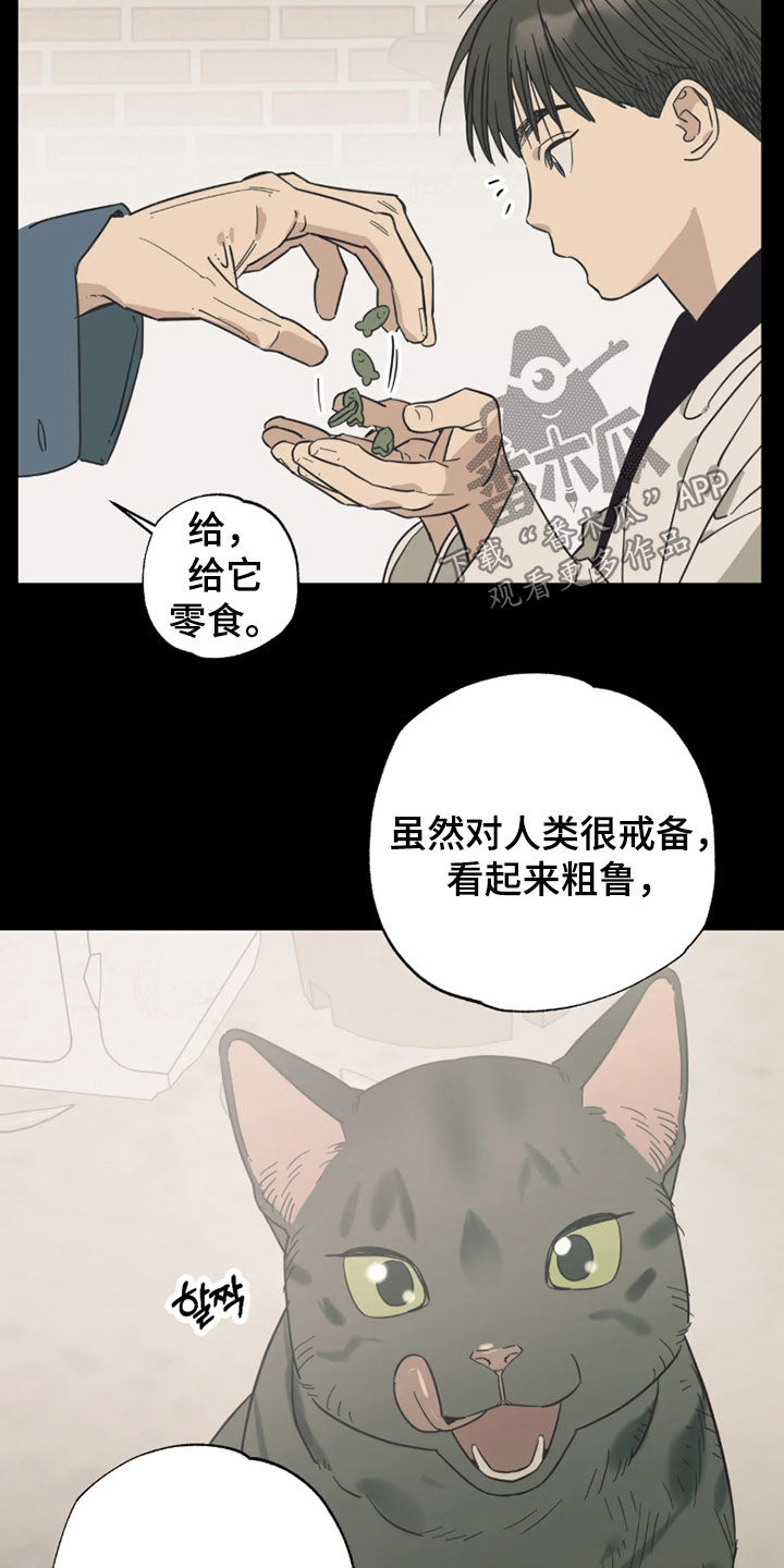 第55话 第13页
