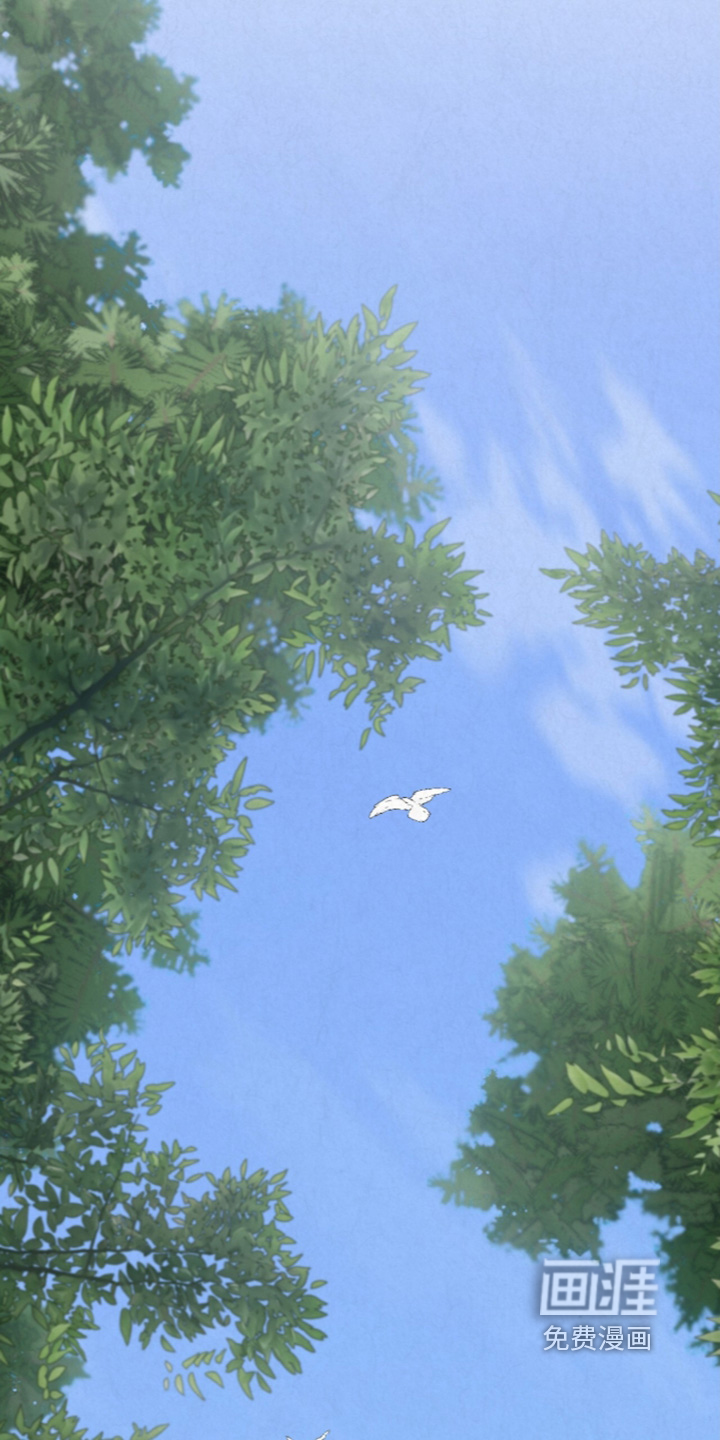 第51话0