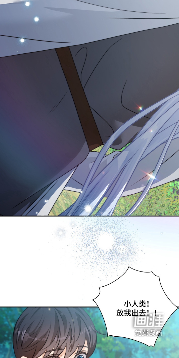 第228话11