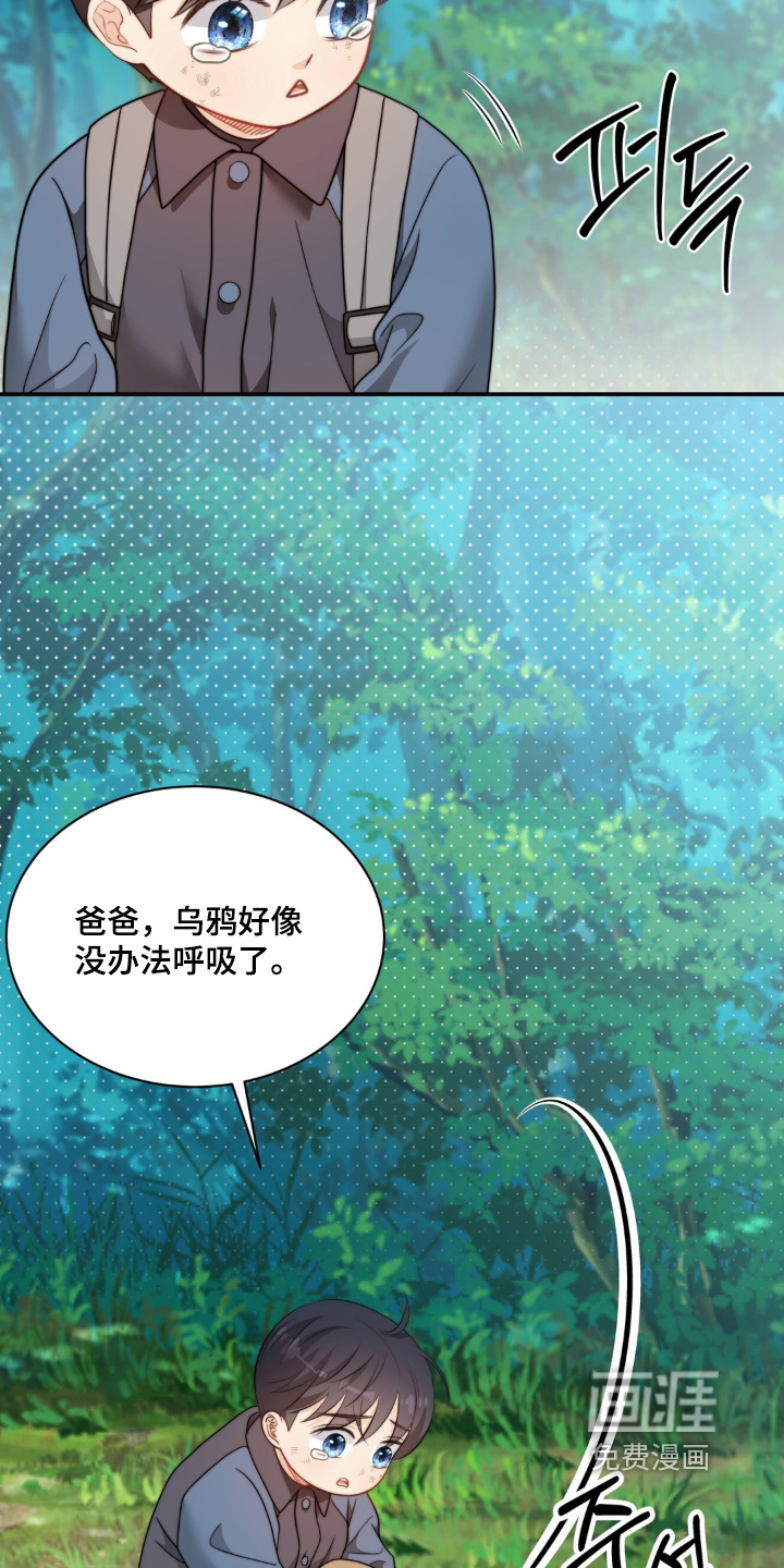 第228话12