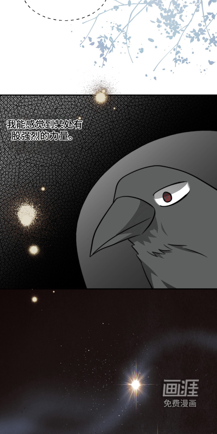 第226话20