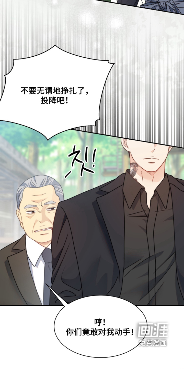 第225话17