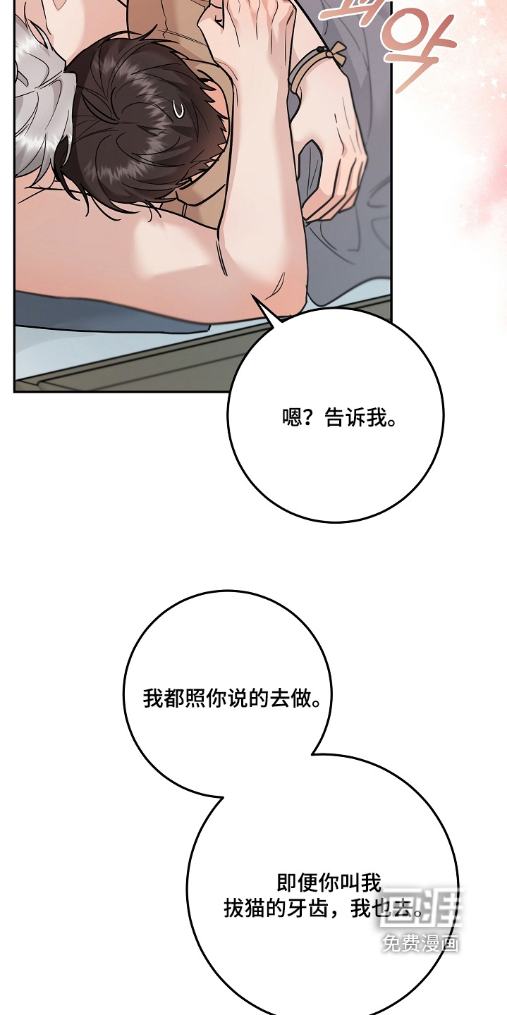 第44话12