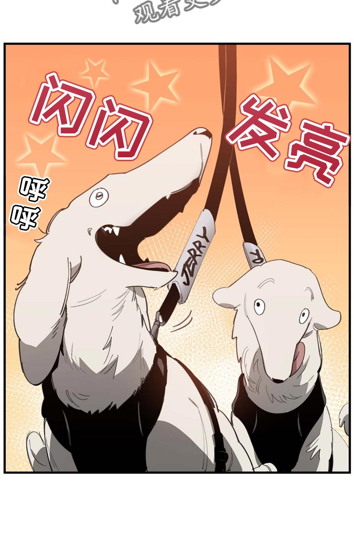 第160话 第16页