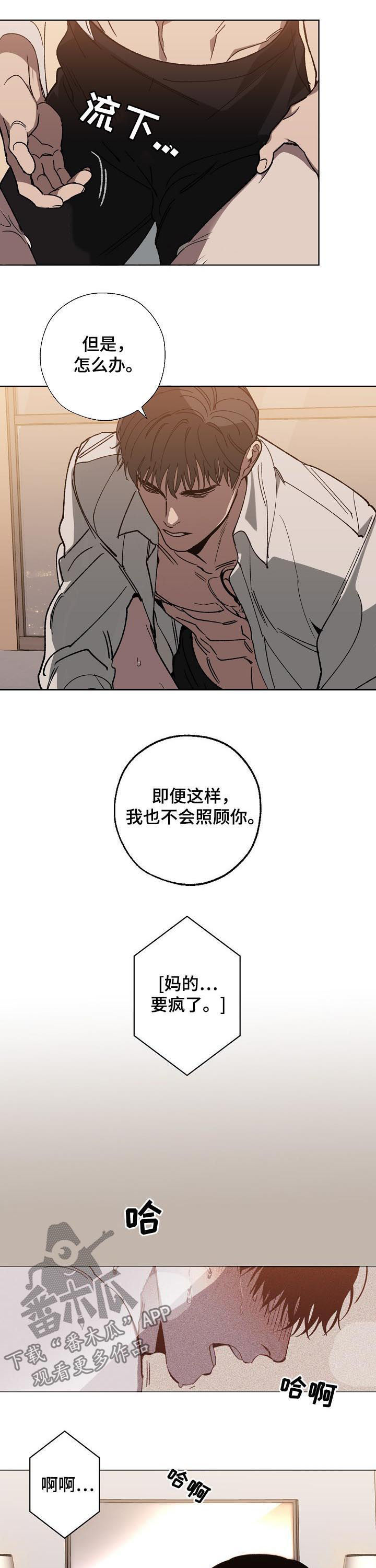 第41话 第6页