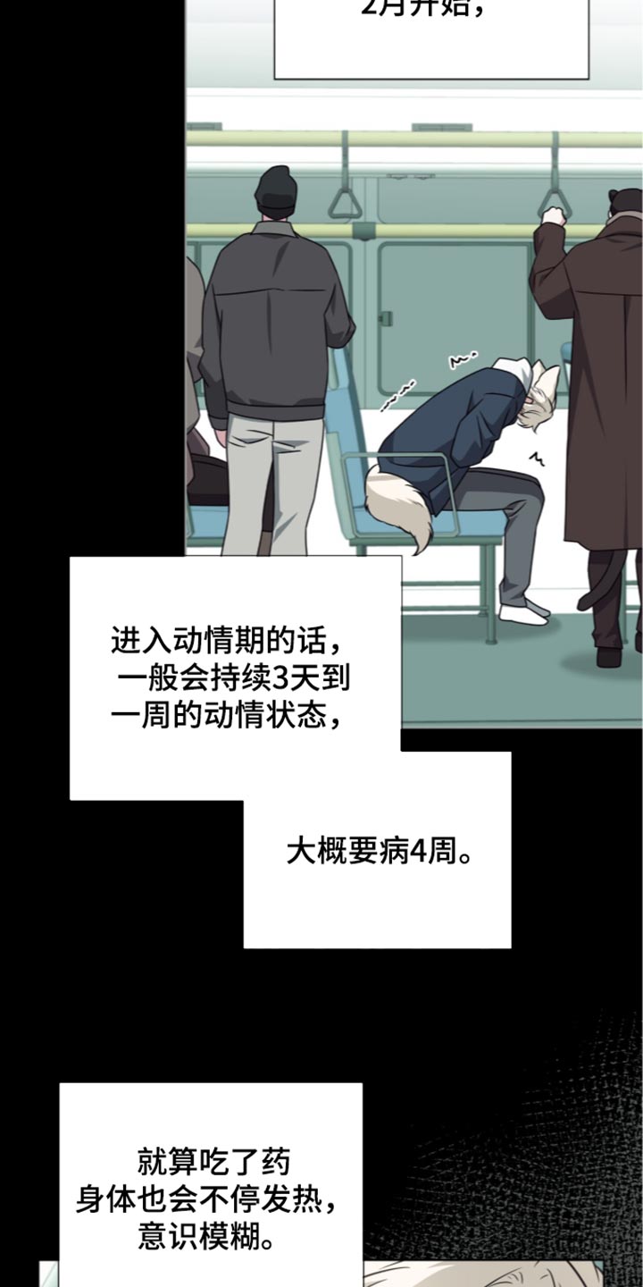 第147话13