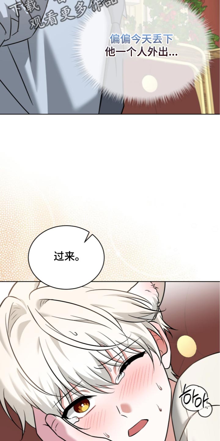 第147话16