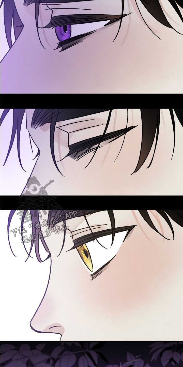 第47话 第17页