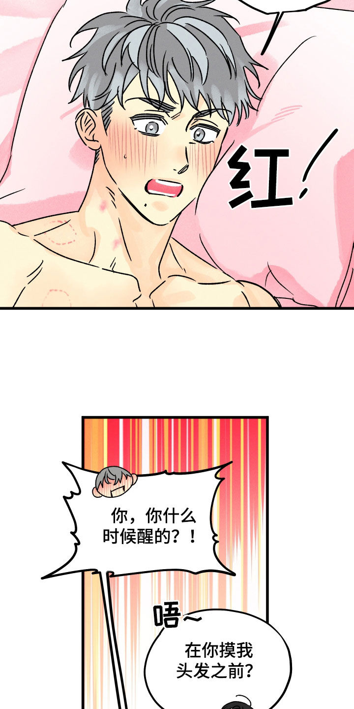 第43话 第13页