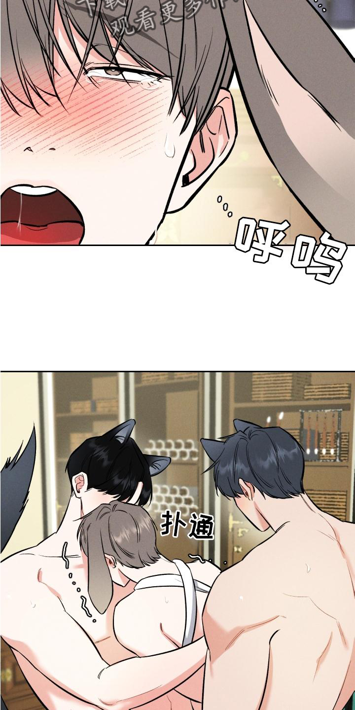 第40话 第17页