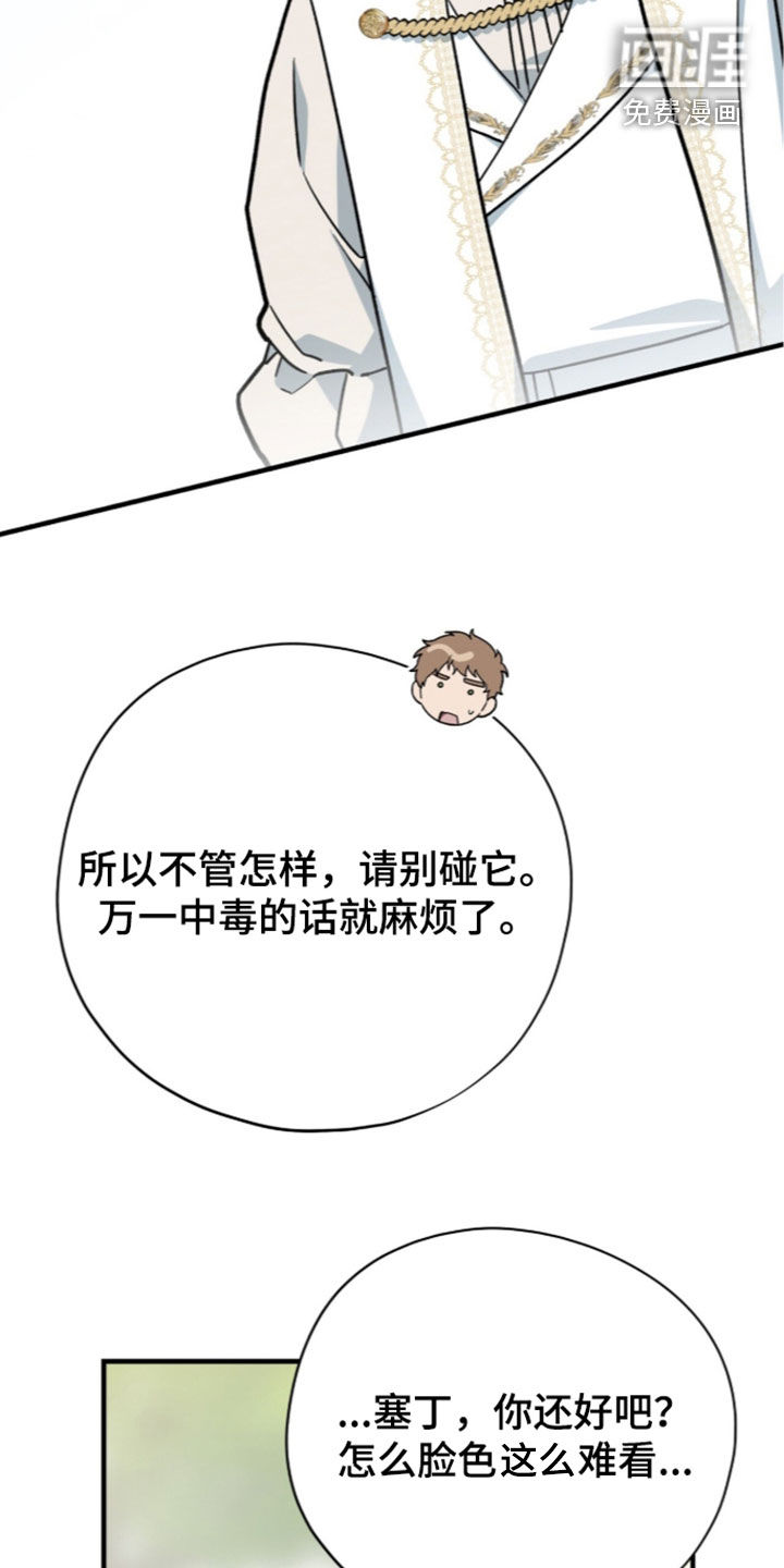 第126话 第34页
