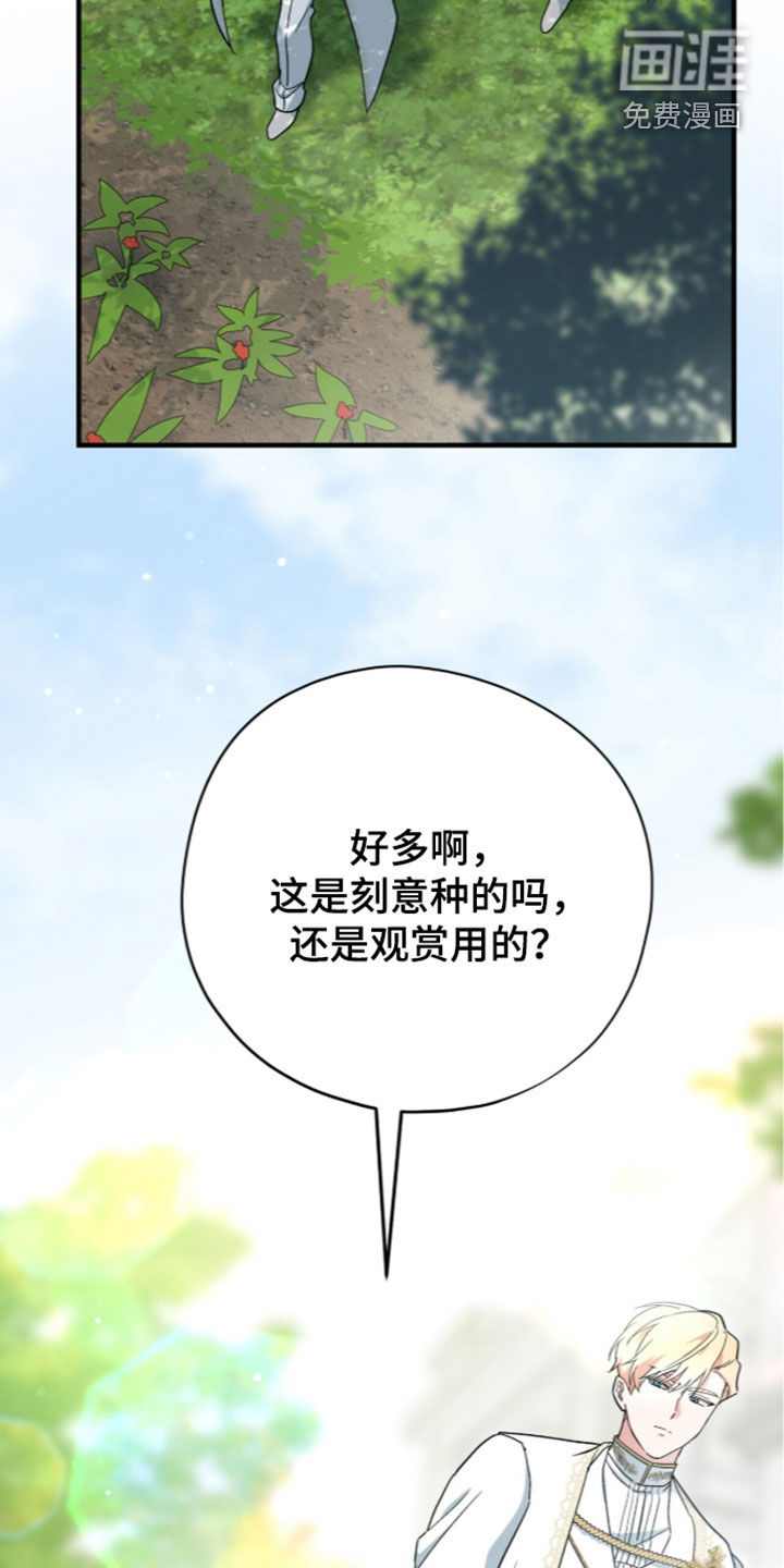 第126话 第23页