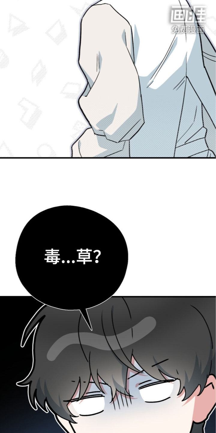 第126话 第28页