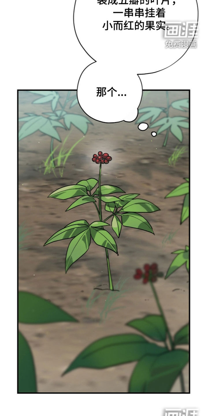 第126话 第19页
