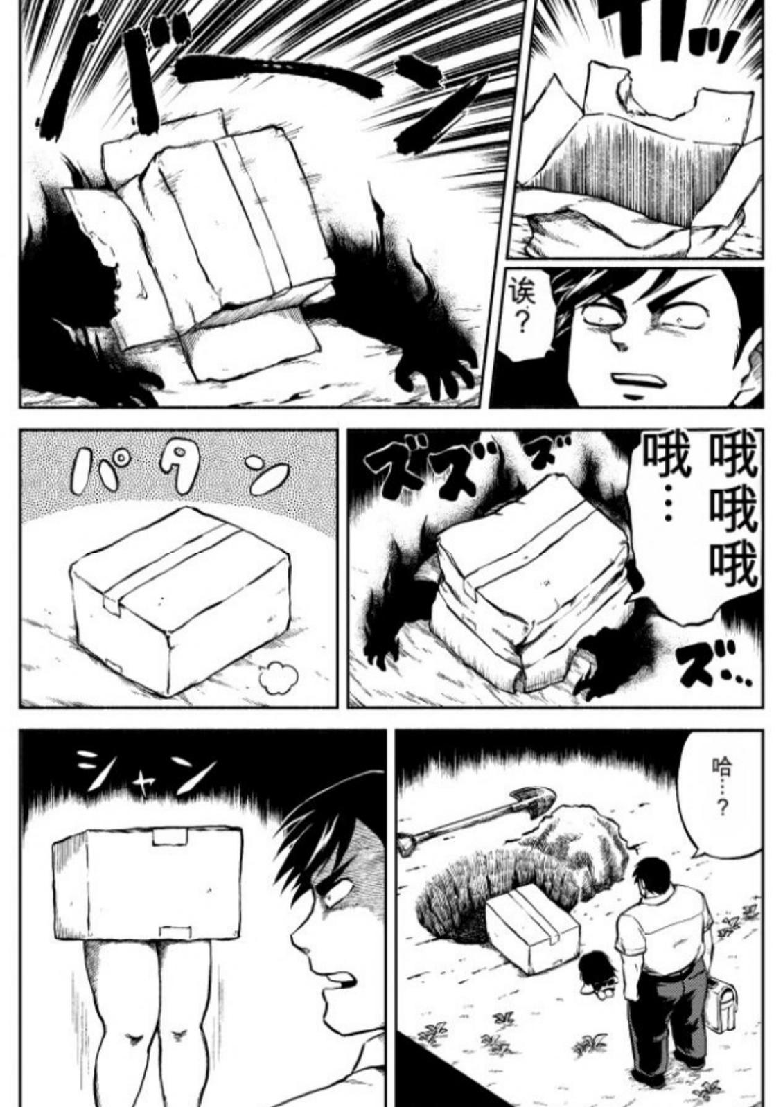 第6卷 第117页