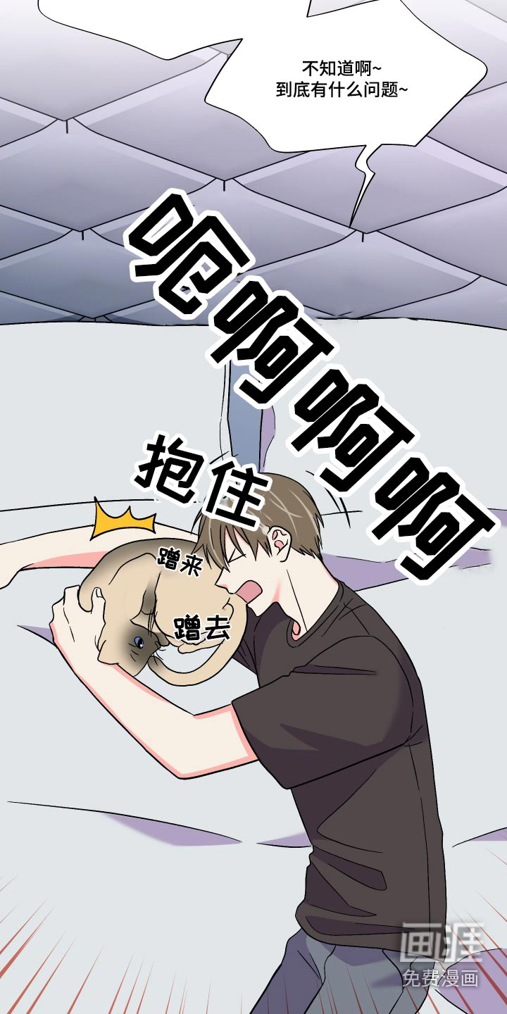 第113话 第11页