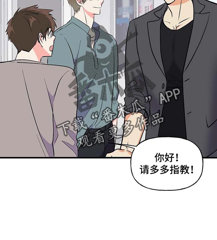 第49话 第17页