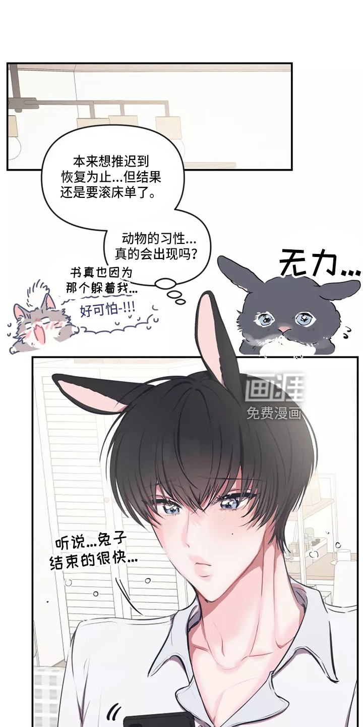 第92话 第17页