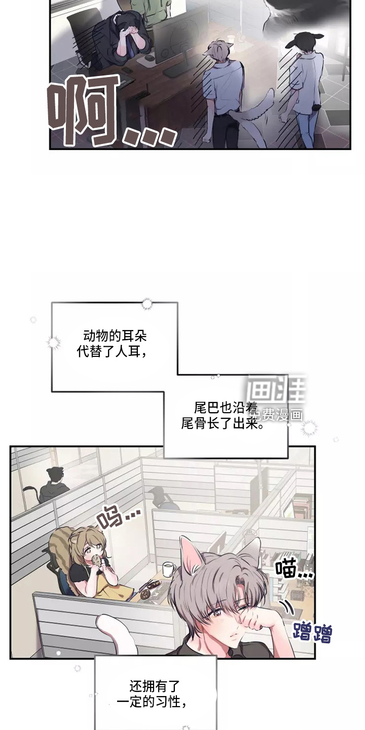 第92话 第5页